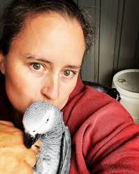 Three weeks I've had my baby boy a lot training and love and I'm finally  getting some good “step up”s 🥹🦜♥️