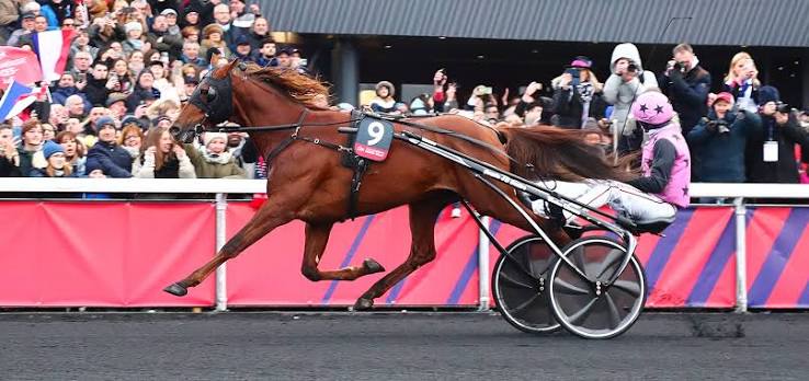 Prix d'Amérique Legend Race : Hooker Berry, un vainqueur pas comme les autres - Prix d'Amérique Races
