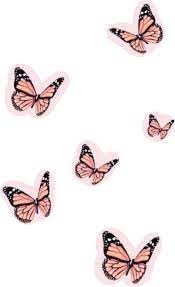 Sticker Af Autumnhamm Wall Collage Pink Wallpaper Iphone Pink Aesthetic