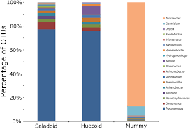 bar charts representing bacterial taxonomy based on 16s rrna