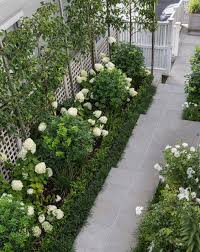 Ornamental Pleached Pears White Hydrangea Limelight Tinakori Hedge Garden Design Nur Front Garden Design Courtyard Gardens Design Small Courtyard Gardens