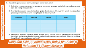 We would like to show you a description here but the site won't allow us. Download Jawaban Esai Uji Kompetensi Bab 9 Ipa Kelas 8 Halaman 112 Sistem Ekskresi Manusia Mp3 Mp4 3gp Flv Download Lagu Mp3 Gratis