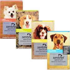 Sentinel Spectrum Heartworm Flea Prevention For Dogs 1800petmeds Pet Meds Heartworm Fleas