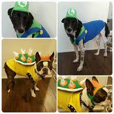 Luigi And Bowser Dog Costumes Dog Costumes Dog Costume Dogs