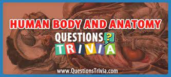 Among these were the spu. Human Body And Anatomy Trivia Questions And Quizzes