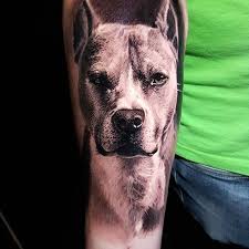 sohranyonnye fotografii 483 fotografii dog portrait tattoo dog portraits dog tattoos