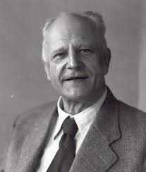 IL VIAGGIO DELLA MORFOLOGIA