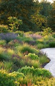 17 Ideas For Plants Desing Grasses Landscape Design Landscape Projects Dream Landscape
