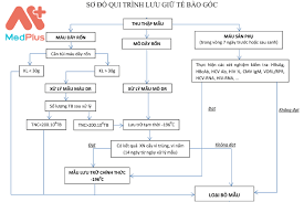 Tất cả các mẫu xét nghiệm của các chuyên gia ấn độ và. Phi LÆ°u Trá»¯ Táº¿ Bao Gá»'c Cuá»'ng Rá»'n Táº¡i Bv Phá»¥ Sáº£n Trung Æ°Æ¡ng