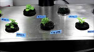 Make Your Own Aerogarden Seed Pods Diy Seed Pod Kits Youtube Aerogarden Aerogarden Diy Seed Pods