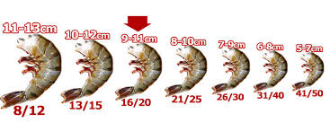 Sum Your Diet Chart By Seafood And Have A Healthy Life
