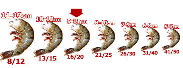 sum your diet chart by seafood and have a healthy life