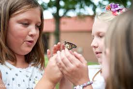 Blog — Lewis Marien