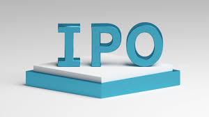 While company revenues are stable in fy19 and fy20, it generated significant revenue growth in fy21. Chemplast Sanmar Ipo To Open On Tuesday Key Things To Know Oib News
