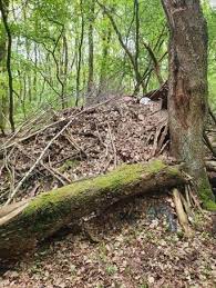 (conings) bedreigde de vlaamse topviroloog van ranst, deze is in veiligheid gebracht. Was Dit De Schuilplaats Van Jurgen Conings Deze Tent Werd G Het Belang Van Limburg Mobile