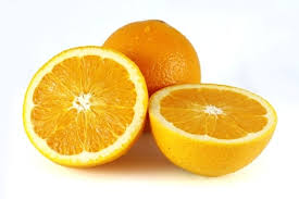 Check spelling or type a new query. Can Parakeets Eat Oranges What About The Peel Thepetfaq