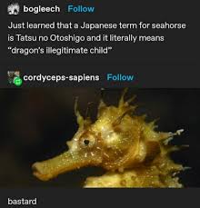 Dragon S Illegitimate Son Tumblr