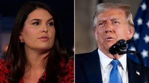 'Honeymoon period is over': GOP strategist