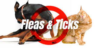 Lisateavet aardvark pest control kohta leiate veebisaidilt www.aardvarkpestcontrolservice.com. Homepage Aardvark Pest Control Inc