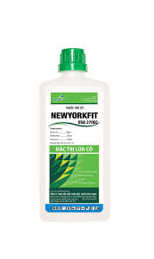 NewYorkFit-Usa 370EC