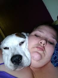 Oklahoma Alliance for Animals