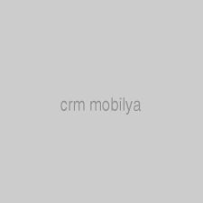 Crm Mobilya