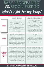 Baby Led Weaning Or Spoon Feeding Baby What You Need To Know