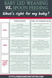 baby led weaning or spoon feeding baby what you need to know