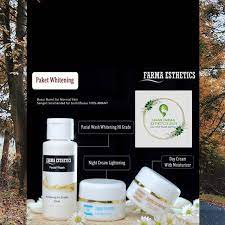 Analisis kandungan logam timbal, kadmium dan merkuri dalam produk krim pemutih wajah. Jual Pemutih Wajah Aman Untuk Ibu Hamil Pemutih Wajah Kulit Normal Ibu Hamil Cocok Indonesia Shopee Indonesia