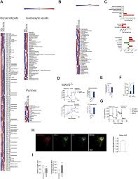 See what amandine chantrel (amandineusukfr) has discovered on pinterest, the world's biggest collection of ideas. Metabolic Control Of Astrocyte Pathogenic Activity Via Cpla2 Mavs Sciencedirect
