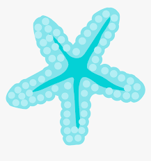 Dibujos de estrellas de mar para colorear estrellas de mar angulo animales png pngegg. Estrella De Mar De La Sirenita Hd Png Download Transparent Png Image Pngitem