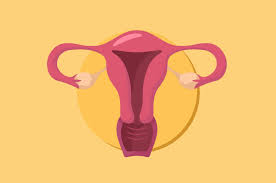 Hasil pemeriksaan pap smear berdasarkan klasifikasi papanicolaou dan bethesda di puskesmas tanah. Tidak Semua Wanita Perlu Pemeriksaan Pap Smear Benarkah