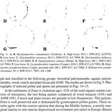 Seven towns ltd (londýn, spojené kráľovstvo) (v zastúpení: Pdf Aalenian To Cenomanian Terrestrial Palynofloras Of S W Scania Sweden
