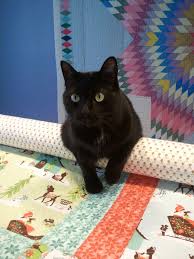 Image result for cat quilting quilt