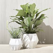1962 was a big year. 40 Shop Isla Small White Geometric Planter Handmade From Natural Clay Earthenware Angles Form Diamond Like Fa White Planters Geometric Planter Plant Decor