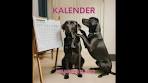 Kalender - morgen overmorgen gisteren eergisteren - aantal ... - YouTube