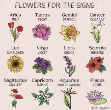 Flowers For The Astrological Signs In 2021 Taurus Constellation Tattoo Zodiac Signs Gemini And Aquarius
