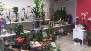 Floristería El Sauce