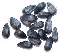 Advantages Of Black Seeds Black Seed Seeds Health
