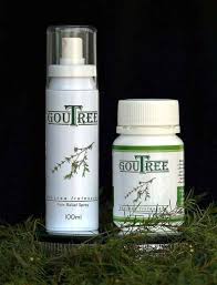 Untuk pencinta bonsai terutama bonsai cucur atap. Frim Hasil Produk Anti Gout Daripada Pokok Cucur Atap Utusan Borneo Online