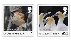 जगाच्या इतिहासात ८ जूनला विशेष महत्त्व आहे. A Flock Of New Bird Stamps From Several Countries