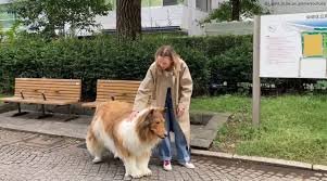 This Japanese man wanted to be an animal. Heres how he did it | Trending  News - The Indian Express