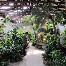 The valley is home to the cities of spokane and its suburbs spokane valley, liberty lake, and millwood. Sunday Afternoon On Cremorne Street Glasshausinside Nursery Plants Flowers Garden Center Displays Plant Nursery Plants