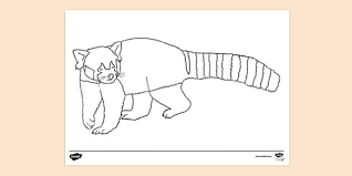 We did not find results for: Free Red Panda Colouring Colouring Sheets