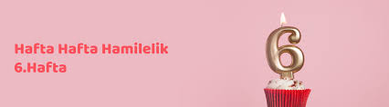 Hamileligin 6 Haftasi 6 Haftalik Gebelik Uni Baby