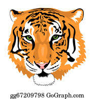 How to draw tiger face roaring step by step easy for beginners video. Tiger Head Clip Art Royalty Free Gograph