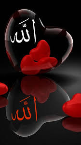 Posted by admin posted on september 30, 2019 with no comments. Pin By Senada Omeri On Allah Flower Background Iphone Allah Wallpaper Islamic Wallpaper