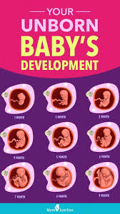 Pin On Pregnancy