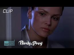 Birds Of Prey Cw Seed Cast Was The Birds Of Prey Tv Series Really That Bad The Mary Sue