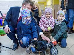 Screen youtube / marcin warchoł. Bezdomne Zwierzeta W Kampanii Wyborczej Marcin Warchol Odwiedzil Kundelka Foto